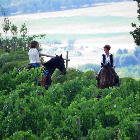 Castello Banfi - Il Borgo - Relais Et Chateaux Poggio alle Mura Екстер'єр фото